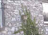 Location: Outside The Hayloft wall 