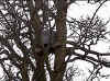 The Owl box from the back