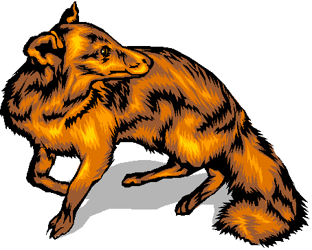 Fox