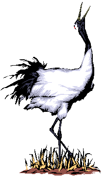 Heron