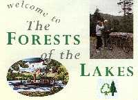 Welcome to the Forest of the Lakes