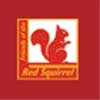 Friends of the Red Squirrel Logo