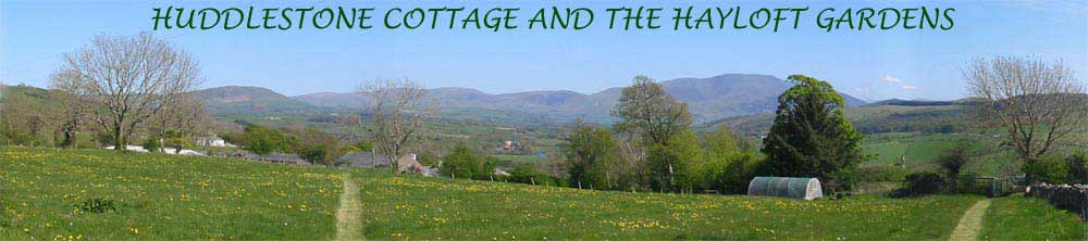 Panaramic view from three acre gardens towards Skiddaw in the South East