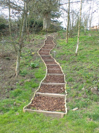 Looking up the woodland steps from the wildlife pond area