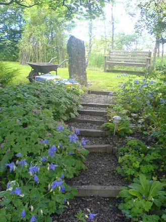Looking up the woodland steps to the shaded seating area