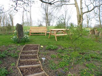 Looking up the woodland steps to the shaded seating area