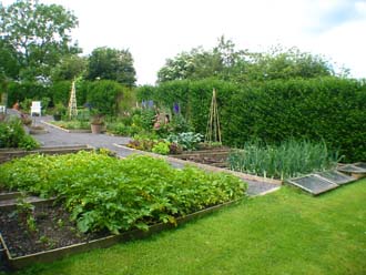 Vegetable and Flower cutting garden