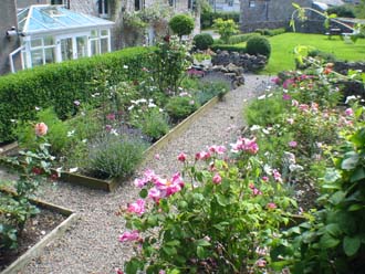 Terrace Rose garden