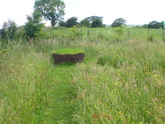 The Tump grass seat for a deserved rest!