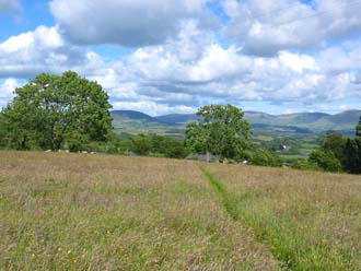 Beautiful views await from the wildflower meadow.