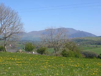 Beautiful views await from the wildflower meadow.