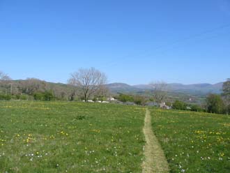 Beautiful views await from the wildflower meadow.