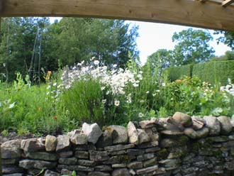 View from herb garden up towards the dry border