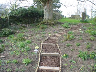 Looking up the woodland steps in Winter