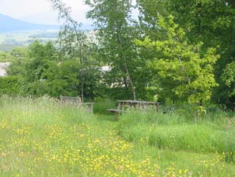 Seating between the wildflower meadow and the woodland copse