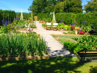 Vegetable and Flower cutting garden