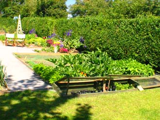 Vegetable and Flower cutting garden