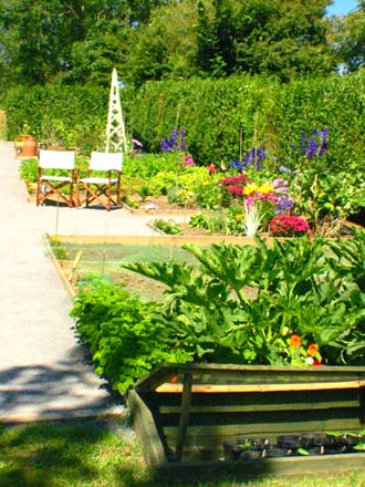 Vegetable and Flower cutting garden early Summer