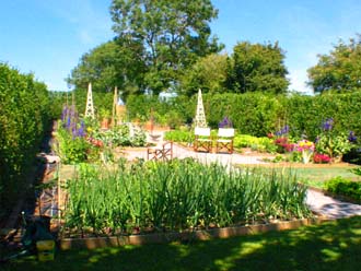 Vegetable and Flower Cutting garden