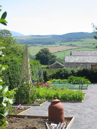 View South from Vegetable and Flower cutting garden