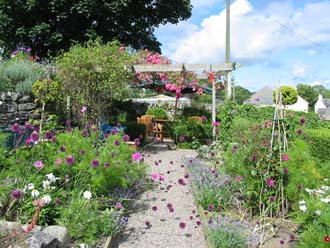 Rose and Herb garden