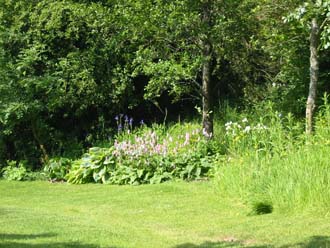 Edge of Woodland Copse