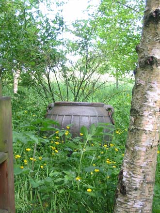 The Elephant pot in the woodland copse