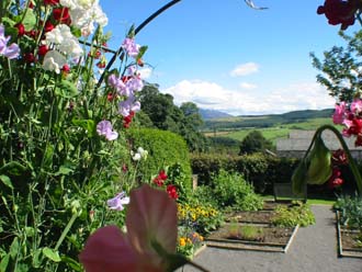 Vegetable and Flower Cutting garden