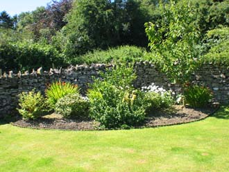 Border in the Terraced lawn area