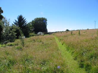 View West through New Orchard towards the polytunnel