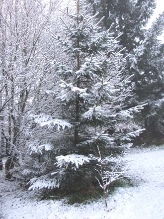 Huddlestone Cottage and The Hayloft gardens in the snow 2011