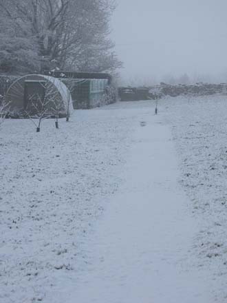 Huddlestone Cottage and The Hayloft orchard gardens in the snow 2011