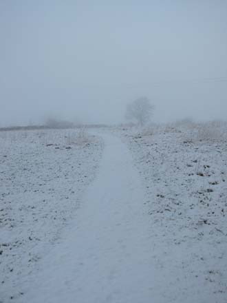 Huddlestone Cottage and The Hayloft wild meadow gardens in the snow 2011