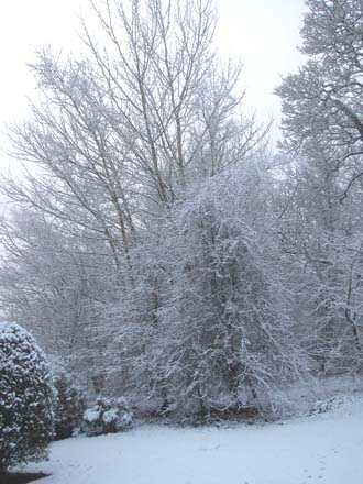 Huddlestone Cottage and The Hayloft gardens in the snow 2011