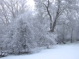 Huddlestone Cottage and The Hayloft copse in the snow 2011