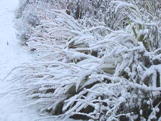 Huddlestone Cottage and The Hayloft gardens in the snow 2011