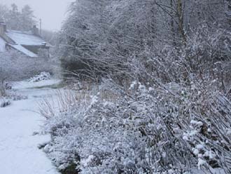 Huddlestone Cottage and The Hayloft gardens in the snow 2011