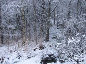 Huddlestone Cottage and The Hayloft gardens in the snow 2011