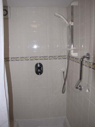 Downstairs shower room with safety rails each side