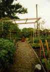 Herb garden