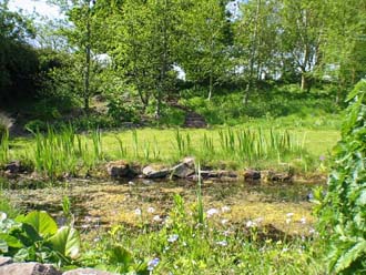 View of wildlife pond looking West