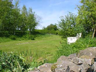 Garden view looking North