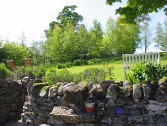Garden view of copse looking due West