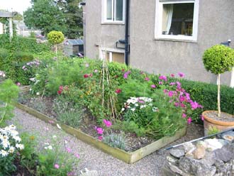 Raised bed near herb garden