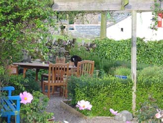 View of herb garden