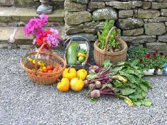 Organic fruit and vegetables from our garden