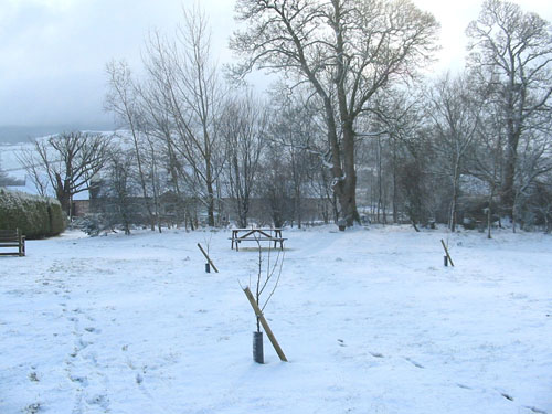 Huddlestone Cottage and The Hayloft gardens in snow February 2009