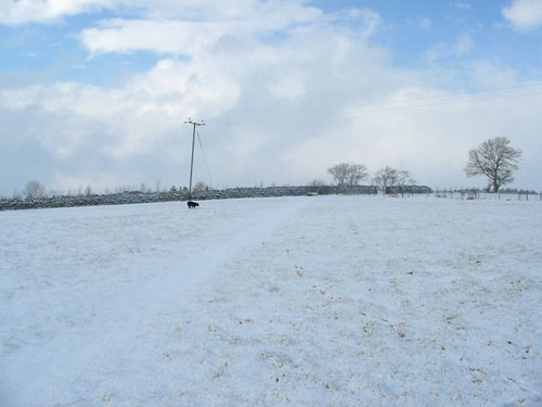 Huddlestone Cottage and The Hayloft gardens in snow February 2009