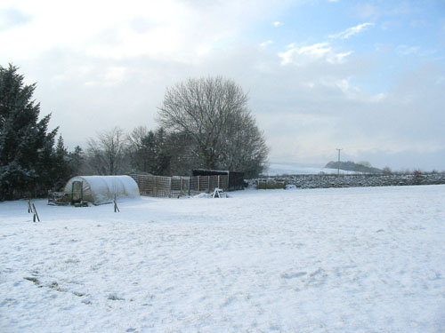 Huddlestone Cottage and The Hayloft gardens in snow February 2009