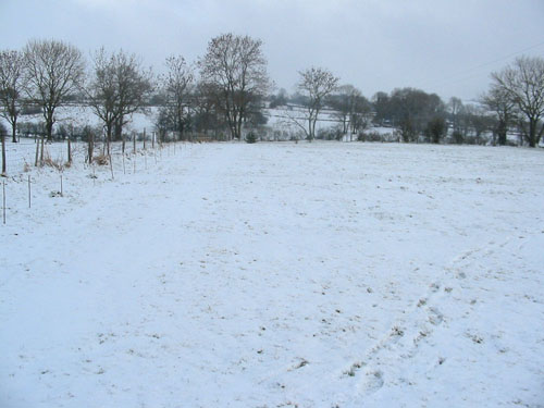 Huddlestone Cottage and The Hayloft gardens in snow February 2009